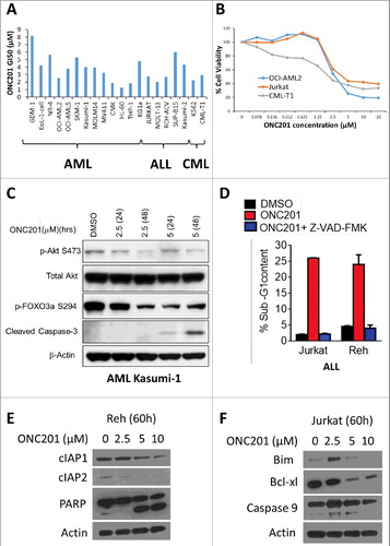 Figure 1. ONC201 induced caspase-dependent apoptosis in leukemia is accompanied by inhibition of Akt, IAP and Bcl-2 family members. (A) GI50 of ONC201 in viability assay with indicated AML, ALL and CML cell lines at 72 h post-treatment with concentrations from 78 nM up to 20 µM. (B) Representative dose response curves for (A). (C) Western blot for indicated proteins in DMSO/ONC201-treated AML Kasumi-1 cells at indicated concentrations and time points. (D) % Apoptosis (Sub-G1 cells) in DMSO/ONC201-treated (5 µM, 48h) with or without caspase inhibitor Z-VAD-FMK in ALL Jurkat and Reh cells. (E) Western blot analysis of ONC201-treated ALL Reh and (F) Jurkat cells at indicated concentrations and time point.