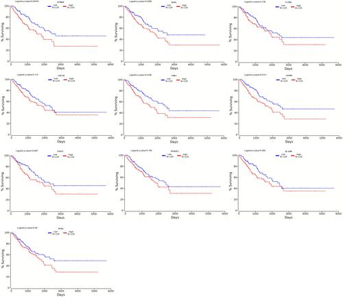 Figure 6 Survival analysis. CDCA8, NACPH, CDK1, MAD2L1, CCNB2 and FANCI have a relatively high overall survival rate (>30%). P<0.05 was considered statistically significant.