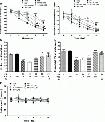 Figure 4.  Effects of PCE on latency of escaping from water (a) and swimming distance (b) during acquisition trials using a submerged platform, the percentages of time (c) and distance (d) in a probe trial without a platform, and swimming speed (e) in the Morris water maze test. * p<0.05 and *** p<0.001 vs. CON group; # p<0.05, ## p<0.01 and ### p<0.001 vs. LPS group.