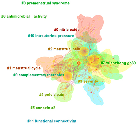 Figure 10 Keyword cluster map. A color represents a cluster, and 12 clusters were formed to show the knowledge structure of dysmenorrhea.