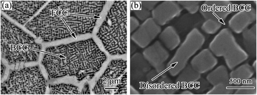 Figure 25. Microstructures of the SPSed AlCoCrFeNiHEA:(a) low-magnification back-scattered electron image (BEI), (b) high-magnification secondary electron image (SEI) of the BCC phase, from [Citation80].
