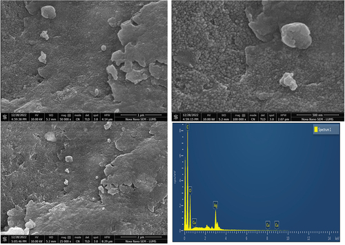 Figure 5. SEM with EDX micrographs of silver nanoparticles.