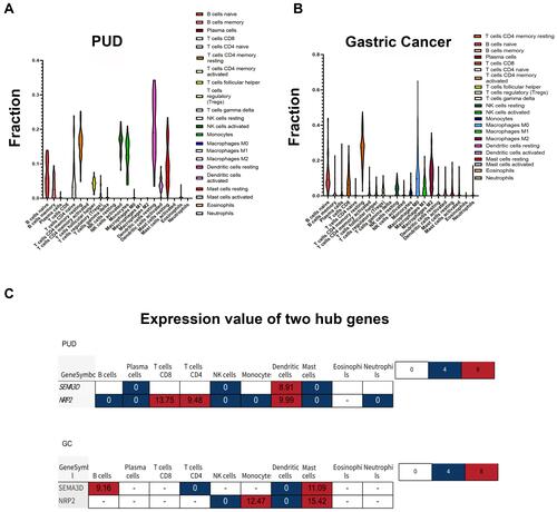 Figure 4 Immune cell infiltration analysis and correlation analysis. (A) Violin plot showing significant changes in immune cell infiltration in GC compared with PUD groups (P-value <0.05). (B) Correlation between gene expression and the relative percentages of immune cells in PUD and GC tissue.(C) The expression value of the two hub genes in different immune cells.