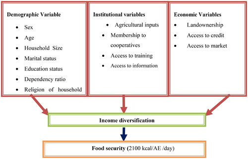 Figure 1. Conceptual framework of the study.Source: Modified from Demissie and Legesse (Citation2013).