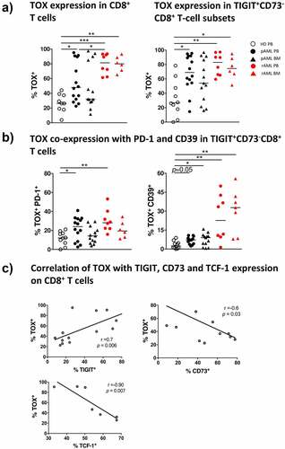 Figure 5. Increased TOX expression in pAML and rAML in comparison to HDs
