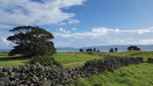 Figure 4. Ōtuataua stonefields. Source: Callan Bird, April 14, 2017. CC BY 2.0 deed. https://www.flickr.com/photos/151182189@N04/36208016213/.