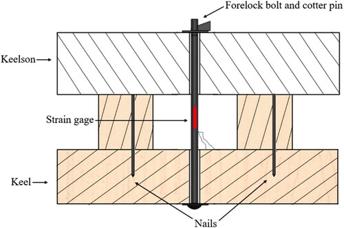 Figure 13. Generic illustration of forelock bolt validation model (illustration: N. Helfman).