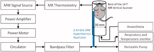 Figure 2. Block diagram of small-animal microwave hyperthermia system integrated with 14 T MR thermometry.