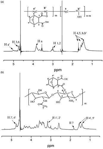 Figure 2. 1H-NMR spectra of NCTD-PVA (a) and NCTD-CS (b).