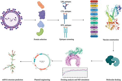 Figure 1. Graphical abstract.