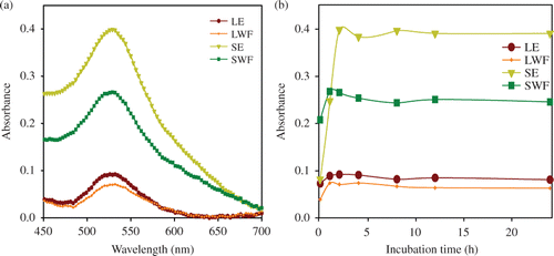 Figure 1. Synthesis kinetics of GNP synthesised by S. cumini extracts and fractions. (a) UV–vis spectra recorded as a function of time of reaction. The synthesis of GNP by S. cumini LE, SE, LWF and SWF was monitored between 0 and 24 h and (b) UV–vis absorption spectra of GNP taken after 2 h incubation of LE, SE, LWF and SWF with 1.0 mmol L−1 HAuCl4.