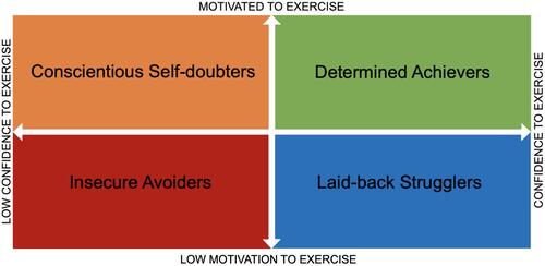 Figure 1 Four groups based on their level of exercise motivation and exercise self-efficacy. Insecure avoiders are patients with low motivation and low confidence in exercising; laid-back strugglers are those with low motivation and confidence to exercise; conscientious self-doubters are those motivated but with low confidence in exercising; and determined achievers are those motivated and with confidence to exercise.