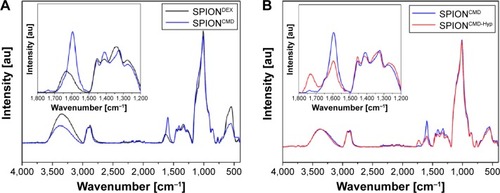 Figure 2 FT-IR spectra demonstrate the success of the functionalization of SPIONCMD.Notes: The inset shows the introduction of peaks at 1,720 and 1,600 cm−1, which can be contributed to carboxyl groups (A). The spectra for SPIONCMD-Hyp shows changes in relative peak intensities, which can be attributed to the linkage of hypericin and glutaraldehyde; the inset shows magnification of the important wavenumber range (B).Abbreviations: FT-IR, fourier transform infrared; SPIONCMD, functionalized dextran-coated SPIONs; SPION, superparamagnetic iron oxide nanoparticle; SPIONCMD-Hyp, hypericin linked to SPIONCMD; SPIONDEX, dextran-coated SPIONs; au, arbitrary unit.