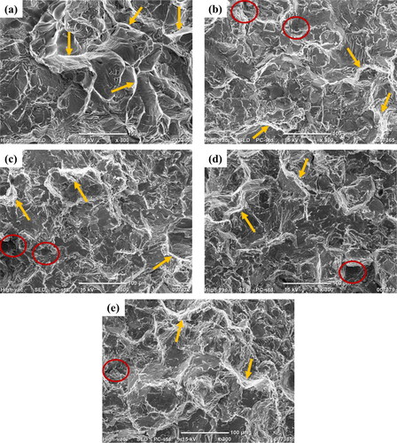 Figure 6. Fractographic images of various casted samples.