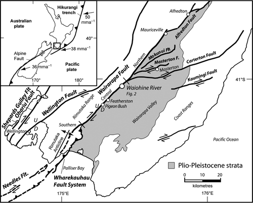 Figure 1  Major active faults in the lower North Island, New Zealand (modified from Little et al. Citation2009). Small open circles are main towns. Large open circle is area of this study (Waiohine River). Different sections of the Wairarapa Fault referred to in the text are labelled. Inset: tectonic setting of New Zealand, where Pacific plate motions are shown relative to a fixed Australian plate according to Nuvel-1a plate motion model of De Mets et al. (1990)Mets et al. (1994).