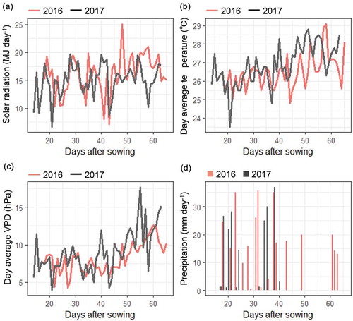 Figure 3. Meteorological conditions during the field experiment in 2016 and 2017. Weekly average values from 2–8 weeks after sowing are shown for (a) solar radiation, (b) daytime temperature (6:00‒18:00), and (c) daytime vapor pressure deficit (6:00‒18:00). Weekly cumulative values are shown for (d) precipitation.