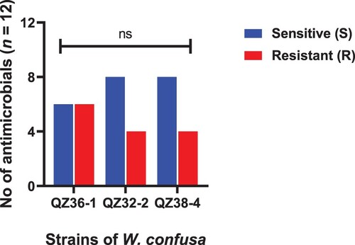 Figure 3. Strains of W. confuse showing resistance and sensitivity against the selected antimicrobials. Data were analysed through Chi-Square test, statistically significant (P < .05) whereas ns indicates non-significant.