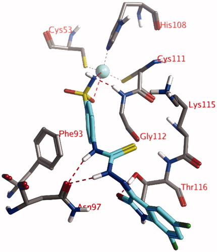 Figure 1. The docked pose of compound 4l (turquoise) within the active site of CgNce103. Hydrogen bonds and interactions with the Zn(II) ion are indicated in red dashed lines.