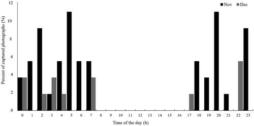 Figure 7. Monthly comparison of daily activity patterns of P. volans. Total 55 photos of the flying squirrel were captured in the FS5 during the monitoring period.