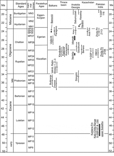 Figure 17. Chronostratigraphic scheme of Palaeogene faunas from Anatolia and the wider region of the Balkans and Southern Asia. Broken lines indicate uncertainty ranges, duration of these are arbitrarily set at 8% of the estimated age. Locations with a magneto-stratigraphic or chronostratigraphic age estimate have a solid range and names are underlined. References on the sites are: Aral Fm (Lucas et al. Citation1998; Bendukidze et al. Citation2009), Banovice (de Bruijn et al. Citation2013), Benara (Métais et al. Citation2016), Buštranje, Strelac, Valniš, Zvonce (de Bruijn et al. Citation2018ab), Harami, Inkonak, Kargi, Yeniköy, Keseköy (Krijgsman et al. Citation1996; Ünay et al. Citation2003a), Kala Chitta Range/upper Subathu Grp. (Hussain et al. Citation1978; Gingerich Citation2003), Kavakdere, Kocayarma (Ünay-Bayraktar Citation1989), Kyprinos (Doukas and Theocharopoulos Citation1999), Paragovo, Ugljevik (Marković et al. Citation2019; van de Weerd et al. Citationin prep), Sabuncubeli (de Bruijn et al. Citation2006), Süngülu (de Bruijn et al. Citation2003), Y-GSP417, DBC2, Z108 (Métais et al. Citation2009), Y-GSP116 (Hartman et al. Citation2019), Z113 (Lindsay and Flynn Citation2016)
