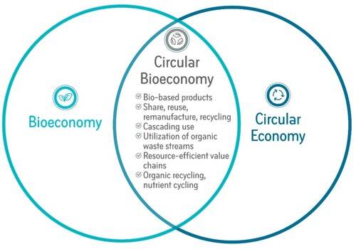 Figure 4. Circular Bioeconomy (reproduced diagram by (Newton et al. Citation2017)).