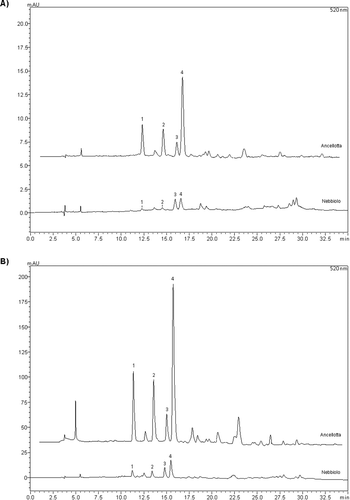 Figure 1. Comparative chromatograms of anthocyanins in Ancellota and Nebbiolo red wines from vintages 2011 (A) and 2012 (B). Peaks: 1. delphinidin-3-O-glycoside (Retention time, RT = 12.24), 2. cyanidin-3-O-glycoside (RT = 14.54), 3. peonidin-3-O-glycoside (RT = 16.05), 4. malvidin-3-O-glycoside (RT = 16.68).