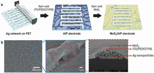 Figure 1. MoS2/AIP electrode for transparent flexible micro-supercapacitors. (a) Schematic illustration of the fabrication process. (b) Top-view and cross-sectional SEM images of the nanocomposites consisting of Ag nanoparticles, ITO/PEDOT:PSS layer, and MoS2 nanosheets