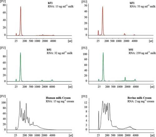 Figure 7. Total RNA profiles for human and bovine MEV and cream fractions. Total RNA contained in fluff (red) and serum (green) MEV fractions were isolated from SEC F1/S1 peaks concentrated by reverse osmosis. Cream was sampled from the first centrifugation of raw milk. RNA extracts were analysed on Agilent RNA 6000 Pico chips using an Agilent Bioanalyzer. The total MEV RNA content was related to the initial start volume of milk (ng ml–1 milk). The peak at 25 nt is an internal standard. Abbreviations: FU, fluorescence units; nt, nucleotides; hF1, human fluff MEV; hS1, human milk serum MEV; bF1, bovine fluff MEV; bS1, bovine milk serum MEV.