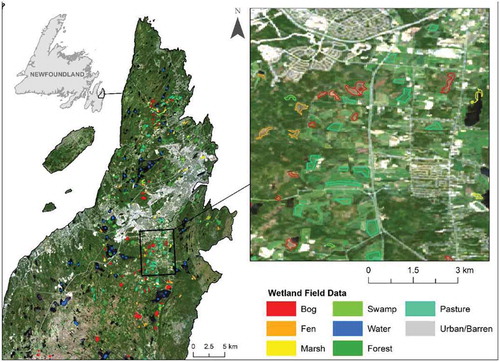 Figure 2. A snapshot of the reference wetland and non-wetland data collected around the St. John’s study area
