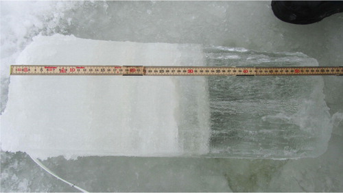 Fig. 9 Ice core sample collected on 12 April 2012 when the SIMB was recovered.
