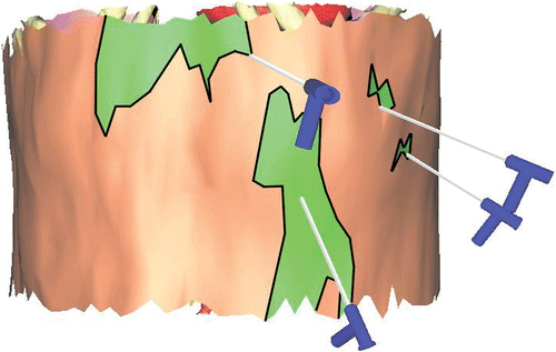 Figure 4. Optimal trajectories in each connected component of the 100% zone. [Color version available online.]