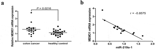 Figure 5. MEMO1 expression was inversely correlated with miR-219a-1 in patients with colon cancer. (a) MEMO1 mRNA expression in patients with colon cancer (n = 17) and healthy individuals (n = 20) was detected by qRT-PCR. (b) A negative correlation was found between mRNA expression of MEMO1 and miR-219a-1 in patients with colon cancer (r = −0.8575; P < .0001, Pearson’s correlation)