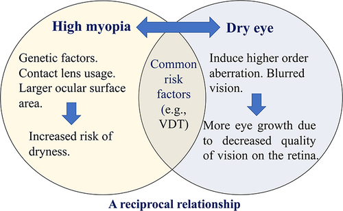 Figure 3 Schematic representation of the proposed relationship between myopia and dry eye syndrome. In many cases, high myopia could be initially induced by genetic factors. Contact lens usage and a larger ocular surface area increase the risk of developing dry eye. Dry eye in turn induces astigmatism and blurred vision, which decreases vision quality on the retina and consequently prompts more growth of the eye axis and increased myopia. There are also common risk factors that develop high myopia and dry eye simultaneously, such as visual display terminal (VDT) and smart phone usage. It is possible that the deterioration of dry eye condition could affect the myopic status and vice versa, hence a reciprocal relationship might exist.