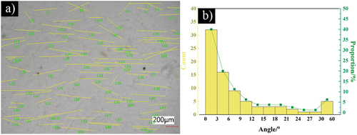 Figure 6. The orientation distribution of fibers in the green body of the SiO2f/SiO2 composite: (a) the orientation distribution of fibers and (b) the statistical distribution of the angle.