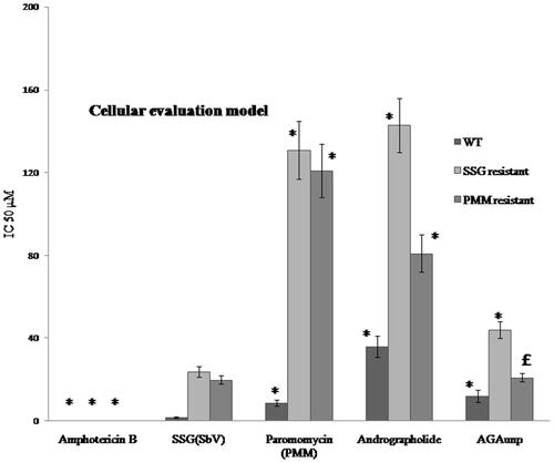 Figure 9. AG/AGAunp/Standard Antileishmanial drugs sensitivity profile against intracellular amastigotes for Leishmania donovani and its drug resistant cell lines. WT (Wild Type), SSG (Sodium stibogluconate resistant) and PMM (paromomycin resistant) cell lines. IC50 (μM) values were determined as mean ± SD (n = 4). *p < .05 significant difference compared with SSG. £p < .5 no significant difference compared with SSG.