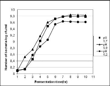 Figure 2. Influence of the acidity (pH) on the growth of strain L. gasseri 4/13 during cultivation in the fermentor system at 37 °C.