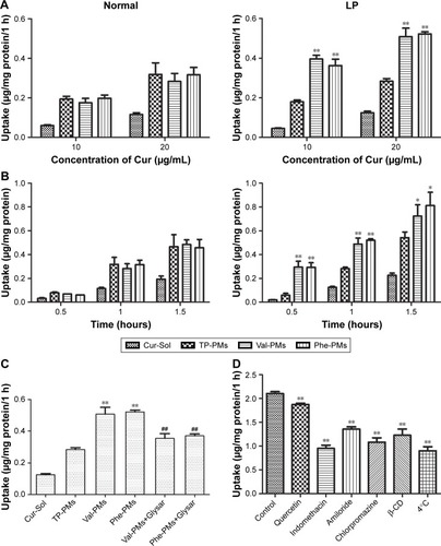 Figure 3 The cellular uptake of Cur-Sol and Cur-PMs in normal and LP Caco-2 cells.Notes: Uptake of Cur-Sol and Cur-PMs at (A) different concentrations for 1 hour and (B) different incubation time with 20 µg/mL Cur (mean ± SD, n=3, *P<0.05 vs TP-PMs, **P<0.01 vs TP-PMs). (C) The inhibitory effects of Gly-Sar in the cellular uptake of Cur-PMs in LP Caco-2 cells (mean ± SD, n=3, **P<0.01 vs TP-PMs, and ##P<0.01 vs Val-PMs or Phe-PMs). (D) The endocytosis pathways of Val-PMs by leptin-stimulating Caco-2 cells (mean ± SD, n=3, **P<0.01 vs control).Abbreviations: Cur, curcumin; Cur-Sol, Cur solution; Glysar, glycylsarcosine; LP, leptin treated; Phe-PMs, Cur loaded phenylalanine – D-α-tocopheryl polyethylene glycol 1000 succinate micelles; PM, polymeric micelle; TP-PM, D-α-tocopheryl polyethylene glycol 1000 succinate micelle; Val-PMs, Cur loaded valine – D-α-tocopheryl polyethylene glycol 1000 succinate micelles.