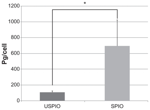 Figure 8 Comparison of the amount of intracellular iron measured by atomic absorption photometry. The amount of intracellular iron was significantly higher in cells treated with small superparamagnetic iron oxide (SPIO) than with ultrasmall superparamagnetic iron oxide (USPIO).Note: *P < 0.05.