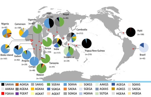 Figure 2 Geographical distribution of Pfdhps haplotype mutants from 18 countries and areas. The five capital letters denote amino acids at positions 436, 437, 540, 581, and 613. Different haplotypes are identified by different colours.