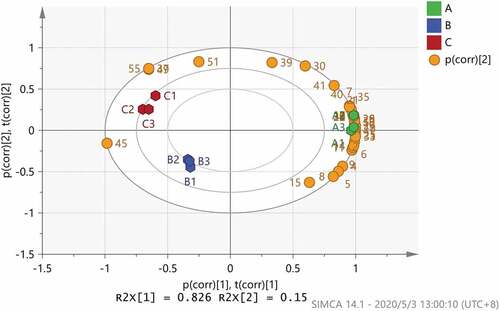 Figure 4. Biplot of principal component analysis of aroma compounds of ginger oils.