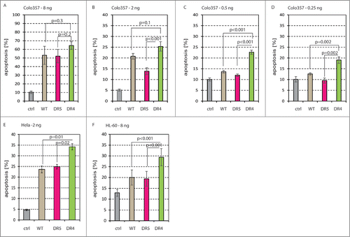 Figure 2. TRAIL-R1 (A–D) Supernatants from 293 cells that were transfected with EGFP (ctrl; gray), sTRAILwt (brown), sTRAILDR5 (red), and sTRAILDR4 (green) constructs were then transferred onto Colo357 pancreatic cancer cells at 8 ng/ml (A), 2 ng/ml (B), 0.5 ng/ml (C) and 0.25 ng/ml (D). After 24 h apoptosis was measured. (E) HeLa cells were incubated with the same EGFP (ctrl; gray) sTRAILwt (brown), sTRAILDR5 (red), and sTRAILDR4 (green) 293 cell supernatants at 2 ng/ml of TRAIL for 24 h before apoptosis was measured. (F) HL-60 cells were also incubated with EGFP (ctrl; gray) sTRAILwt (brown), sTRAILDR5 (red), and sTRAILDR4 (green) 293 cell supernatants (8 ng/ml of sTRAIL). 24 h later apoptosis was measured.