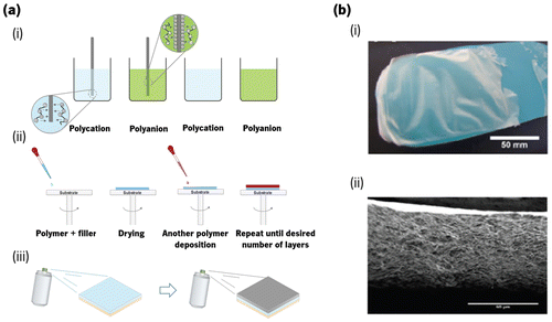 Figure 5. Representation of (a) three main LbL methods: (i) dip coating; (ii) spin coating and (iii) spray coating; and (b) image of a chitosan/alginate free-standing membrane, where (i) represents the membrane obtained by dip coating a polypropylene substrate after 100 cycles and (ii) its respective cross-section scanning electron microscopy (SEM) picture.[Citation129]
