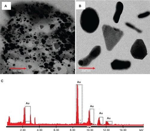 Figure 6 TEM images and EDAX spectrum of gold nanoparticles. Representative TEM image obtained by the reduction of aqueous AuCl4– ions using Memecylon edule leaf extract. Scale bars: 200 nm (A); high magnification TEM micrograph of a single gold nanotriangle, circular, spindle, hexagon (B); energy dispersive X-ray spectrum of gold nanoparticles resulting from the experiment using 15 mL of M. edule leaf extract (C).