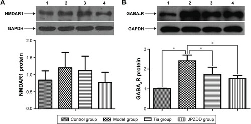 Figure 7 Effect of JPZDD on protein expressions of NMDAR1 and GABAAR in TS rats.