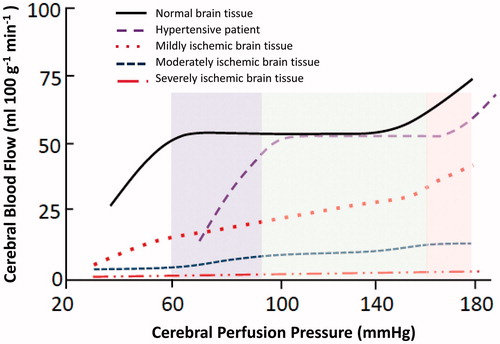 Figure 4. Cerebral autoregulation of blood flow in normotensive subjects (continuous line) and in hypertensive patients (dotted lines) with and without ischaemic brain damage. Cerebral blood flow is physiologically maintained at a constant level with mean arterial pressure between 70 and 90 mmHg, below which it dramatically drops. In hypertensive patients (violet dotted line) the autoregulation range of BP is shifted to right towards higher values, between 110 and 150 mmHg, and is narrowed (central shaded green area). At lower and higher cerebral perfusion pressure levels, a fall or an abrupt pressure rise can induce ischaemia (left shaded violet area) or oedema (right shaded pink area). After an ischaemic injury, blood flow blunts proportionally to the injury severity (red and blue dotted lines). Modified from Blumenfeld and Laragh [Citation20].