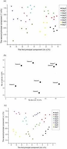 Figure 5. PCA results of bamboo shoots samples stored for 8 days: (a) PCA results of raw EN measurement data; (b) sensor array optimization results; (c) PCA results of optimized EN measurement data