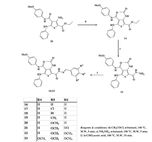 Scheme 3. Synthesis of 4-acetamido-5-(2-arylidenehydrazinocarbonyl)-N-(4-methoxyphenyl)-2-phenylaminothiophene-3-carboxamides 16–23.