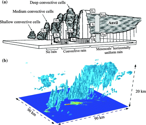 Fig. 1. (a) Schematic of a population of clouds over a tropical ocean; thin (thick) arrows represent convective (stratiform) updraught and downdraught, while heavy convective (lighter stratiform) rain is indicated by narrow (wider) hatchings – adapted from Houze et al. (Citation1980), ©Copyright 1980 American Meteorological Society (AMS), see also Houze and Betts (Citation1981). (b) Three-dimensional view of a cloud field simulated by a CRM – adapted from Guichard (Citation1995), see also Guichard et al. (Citation1997).