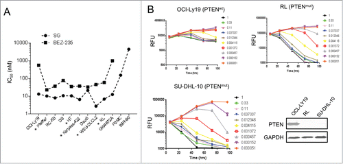 Figure 5. PTEN-deficient DLBCL cells were preferentially killed by schweinfurthin G (SG). (A) Plots of IC50 values of 10 DLBCL cell lines, normal human PBMC and fibroblasts IMR-90 upon SG treatment for 4 days. A PI3K inhibitor, BEZ-235, was included as a comparison. Cell lines with known PTEN mutation are indicated by asterisks. (B) Differential anti-proliferative effects of SG in DLBCL cells with wild type (wt) or mutant (mut) PTEN status. Protein expression of PTEN by the cell lines is shown.