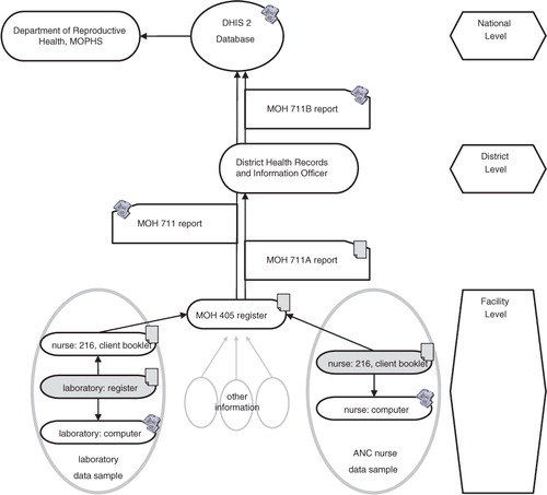 Fig. 1 Selected information flows in clinical communication and reporting in the ANC departments. Original information sources are highlighted in grey.